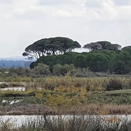 Petros To Let Kalogria Beach