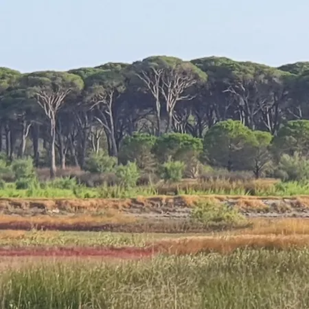 Petros To Let Kalogria Beach 팜스테이