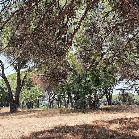 Petros To Let Kalogria Beach 팜스테이
